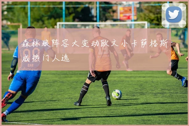 森林狼阵容大变动欧文小卡萨格斯成热门人选