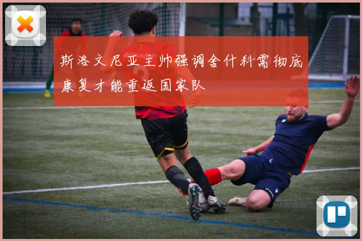 斯洛文尼亚主帅强调舍什科需彻底康复才能重返国家队